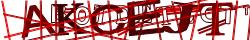 Retype the CAPTCHA code from the image